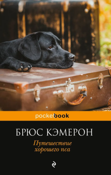 Кэмерон Б. Я его пес, он мой мальчик (комплект из 2 книг)_2019