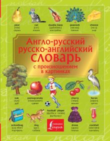 Англо-русский. Русско-английский словарь с произношением в картинках. Детский визуальный словарь. 97