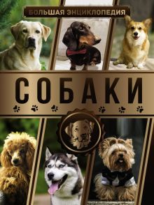 Большая энциклопедия. Собаки. Большая энциклопедия увлечений. 978-5-17-132611-1. 2020